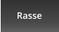 Rasse